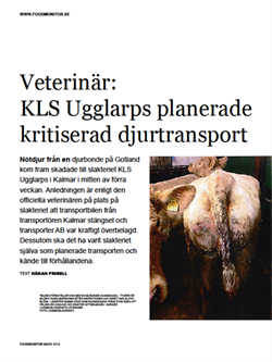 kls-ugglarps-planerade-kritiserad-djurtransport