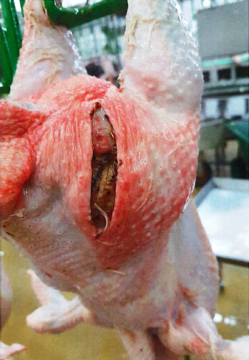 h30