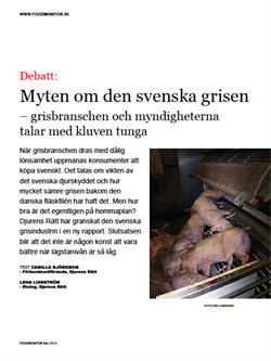 myten-om-den-svenska-grisen
